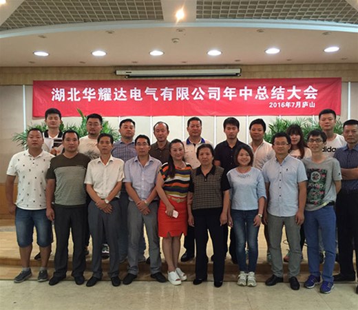湖北人生就是博电气有限公司年中总结庐山大会